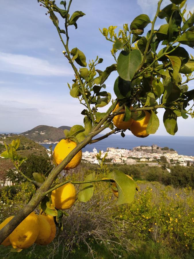 Villa Belvedere Lipari  Exterior foto